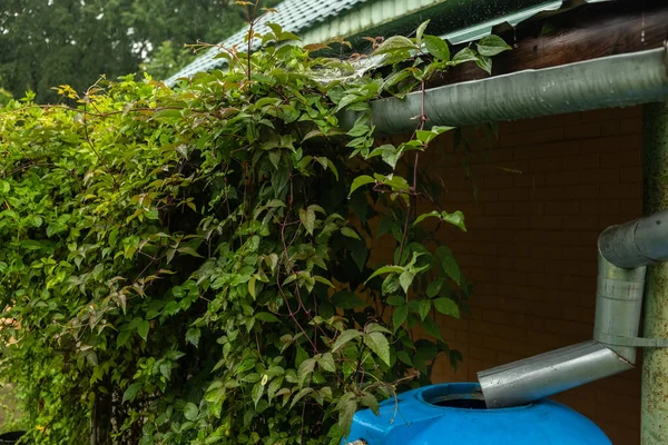 有排水装置的屋顶下的集水罐 雨水收集建筑 顶部视图 — 图库照片