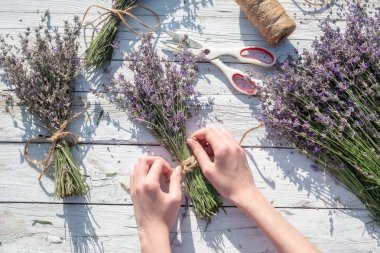 Yüzü olmayan kız taze lavanta buketleri yapıyor. Üst manzara, güneşli gün, gölgeler..