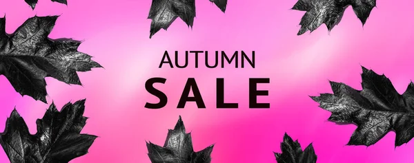 Letters Autumn Sale Black Autumn Leaves Isolated Hot Pink Barbie — Stock Photo, Image