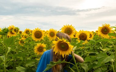 Yüzü olmayan kız yüzünü ayçiçeği tarlasında büyük bir çiçeğin arkasına saklar.