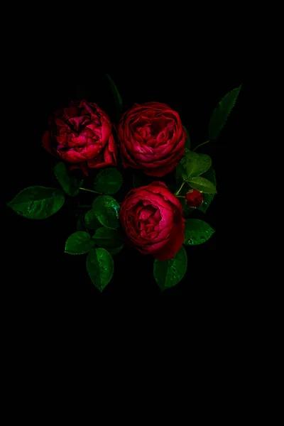 Moody flowers. bouquet of dark red roses on a black background. Blur and selective focus. Low key photo