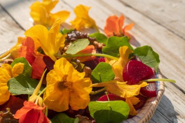 Haşlanmış pancar, nasturtiyum ve ceviz salatasını kapat. Güzel vejetaryen yemeği. Bulanık ve seçici odaklanma 
