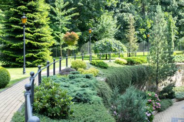 Bahçe düzenleme. Çalıları ve yeşil çimenleri olan bir park. Bulanık ve seçici odaklanma.