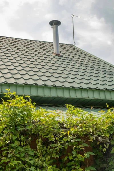 roof of the house and the green wall of plants against the background of blue sky. Blur and selective focus. Vertical photo.