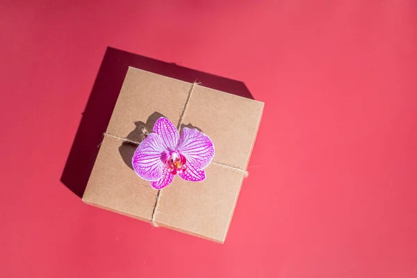 Gift craft box decorated with a luxurious orchid flower on a red background. Zero waste concept. copy space
