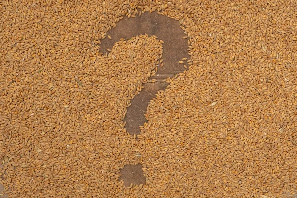 Black question mark on the background of wheat grains. The concept of stopping the grain deal and the food crisis in African countries.