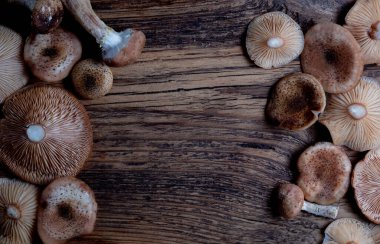 Ahşap arka planda yenebilir ballı mantar kapakları. Boşluğu kopyala, üst görünüm