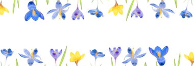  Bahar çiçeklerinden kopmuş çiçek bembeyaz bir arka planda izole bir şekilde yatıyordu. Üst görünüm ve boşluk kopyala. Pankart