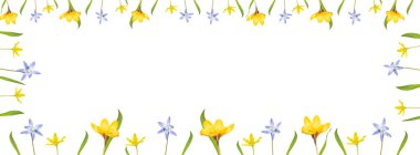  Beyaz bir arka planda, farklı bahar çiçeklerinden izole edilmiş bir çiçek yatıyordu. Üst görünüm ve boşluk kopyala. Çiçek çerçevesi