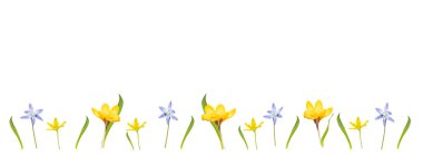  Farklı bahar çiçeklerinden gelen düz çiçek, leylak bir arka planda yatıyordu. Üst görünüm ve kopyalama alanı.