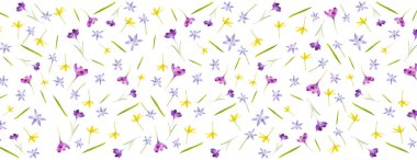 Bahar Çiçekleri. Beyaz arka planda izole edilmiş farklı bahar çiçeklerinden kusursuz desenler. Üst Manzara. Uzun pankart. 