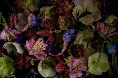 Çiçek arkaplanı. Siyah arka plandaki çiçeklerin yaratıcı çiçek düzeni. Üst manzara, düz uzanma