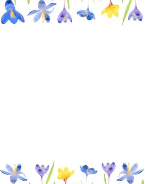  Pastel mavisi ve sarı krokoz beyaz arka planda izole edilmiş. Üst görünüm ve kopyalama alanı, çiçek deseni.