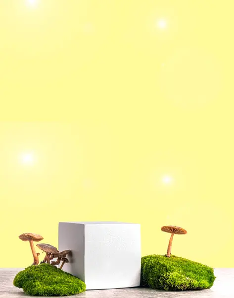woodland decor and natural style. Cubic podium with green moss and mushrooms isolated on a yellow gradient background. Still life for products presentation. Copy space