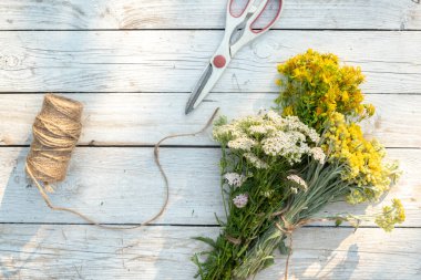 Tıbbi yabani bitkilerin kavramı ve tedarik edilmesi. St. Johns Wort hiperikum, Imortelle, orospu çocuğu Xerochrysum beyaz ahşap arka planda, üst manzara. 