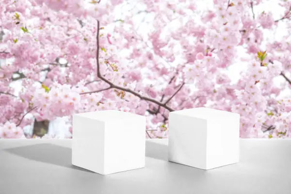 Два Белых Цементных Кубических Подиума Фоне Цветущего Розового Сакура Mockup — стоковое фото