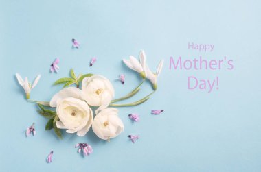 Mutlu anneler günü mesajı at. Yumuşak mavi arka planda, krem rengi ranunculus çiçekleri vardı. Üst görünüm. 