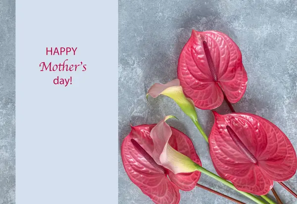 stock image Happy mothers day. Tropical flamingo flowers pink anthuriums and calla lilies on a gray background. Flat lay, top view. 
