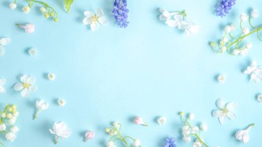 İlkbahar. Açık mavi arkaplanda bahar çiçeklerinden düz bir çerçeve vardı. Yukarıdan görüntüle, boşluğu kopyala. Güzel çiçek deseni. Pankart