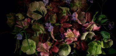 Siyah arka planda hellebore, fritillaria ve alstroemeria çiçekleri barındıran yaratıcı çiçek düzeni. Üst manzara, düz yatış. Uzun pankart biçimi. 