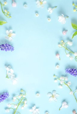 Açık mavi arkaplanda bahar çiçeklerinden düz bir çerçeve vardı. Yukarıdan görüntüle, boşluğu kopyala. Güzel çiçek deseni. İlkbahar. Dikey fotoğraf