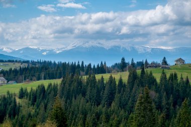 Güzel panoramik manzara. Beyaz bulutlu mavi gökyüzü. Yeşil kozalaklı ormanları olan Karpat Dağları. Uzaktaki dağ karla kaplı.. 
