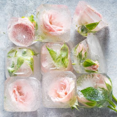 Güzel pembe güller berrak buz küpleriyle kaplı, sanatsal ve ferahlatıcı tasarımlar için çarpıcı ve benzersiz bir görsel yaratıyor. Üst görünüm