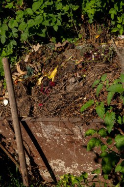 Photo of a compost heap containing various organic materials in various stages of decomposition. Organic farming concept  clipart