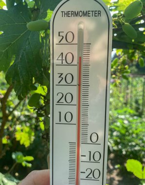 Yüksek sıcaklıkta 44 derece gösteren bir termometrenin yakın çekimi, yemyeşil bir bahçenin arka planına göre ayarlanmış. Sıcak gün, küresel ısınma. 