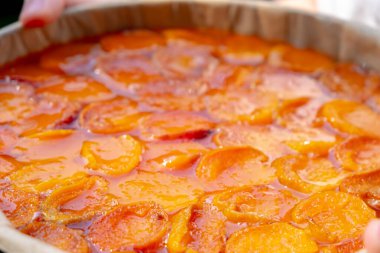 Yuvarlak bir tavada taze pişmiş kayısılı kek. Turtanın altın kaplamalı bir finali var. Bulanık ve seçici odaklanma