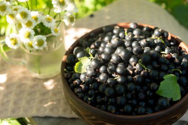 Bir vazo yabani çiçeğin yanına yerleştirilmiş taze kuşüzümü dolu ahşap bir kase. Sıcak, doğal güneş ışığına yakalanmış..