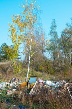 Mobilyalar ve plastik atıklar da dahil olmak üzere bir tarlaya saçılmış çöp ve molozlarla kirlenmiş bir bölge. Uzun bir huş ağacı çöpün ortasında duruyor, doğal çevreyle insan etkisinin karşıtlığını oluşturuyor..