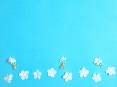 Parlak mavi arka planda küçük beyaz çiçeklerin minimum bileşimi. Bahar temaları, davetiyeler ve yaratıcı tasarımlar için ideal. Üst görünüm ve kopyalama alanı