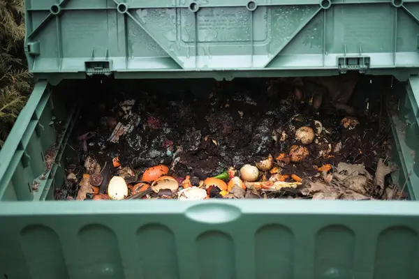 Çeşitli organik materyaller içeren bir bahçe kombinasyonunun yakın çekimi. Organik tarım kavramı. Bulanık arkaplan