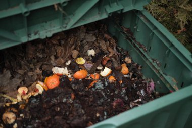 Bahçe kompozitosundaki çeşitli organik atıkları yakından çek. Organik tarım kavramı. Bulanık arkaplan.