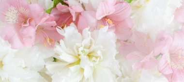 Tatlı su damlacıklarıyla kaplı narin pembe beyaz çiçekler. Romantik çiçekli arka plan düğün davetiyeleri, spa tasarımları ve kadınsı markalar için mükemmel. Düğün buketi, çiçek duvar kağıdı, pankart