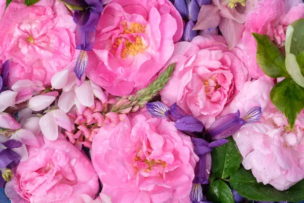 Pembe gül ve lupin çiçekleri, üst manzara. Hafif çiçekli yaz arkaplanı. Güzel çiçek kompozisyonu. Tam çerçeve