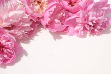 Beyaz bir arkaplanın köşesine yerleştirilmiş yumuşak pembe şakayıklar, metin veya tasarım için alanı olan bir çiçek çerçevesi oluşturuyorlar.. 