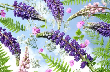 Mor lupinlerin ve yeşil eğreltiotlarının birleşimi gökyüzü yansıması olan bir ayna üzerinde. Doğal ışık ve rüya gibi bir atmosferi olan parlak çiçekli bir daire.. 