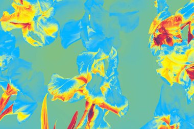 Modern soyut tarzda mavi, sarı ve kırmızı tonlarda süsenlerin renkli dijital sanat eserleri. Çağdaş tasarım ve baskılar için mükemmel. 