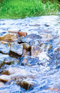  Temiz su akıntısı pürüzsüz taşların üzerinden akar, yeşil çimlerle çevrili doğal ışıkta. Kayaların üzerinden akan temiz dağ deresi.