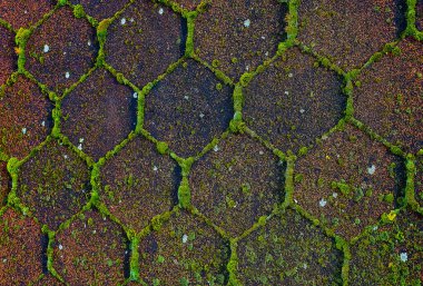 Yıpranmış altıgen taşların yakın plan çekimi, çatlakların arasında yosun oluşması, doğal bir geometrik desen oluşturur. Altıgen yosun kaplı taş deseni 