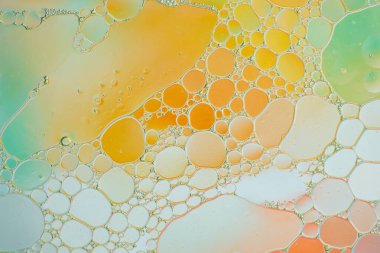 Yağ kabarcıklarının soyut makro fotoğrafı canlı turuncu ve yeşil tonlarda hücreler oluşturur yumuşak ışıklandırma ve yumuşak eğimlerle. Suda renkli yağ kabarcıkları, turuncu ve yeşil arkaplan 