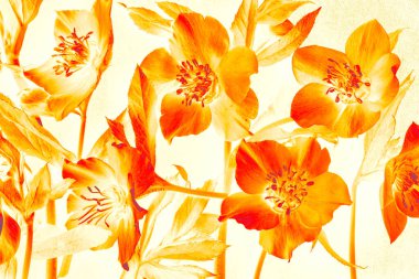 Açık arkaplanda, dijital resim tarzında parlak turuncu-sarı çiçekler. Canlı botanik sanatı
