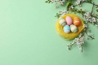 Renkli arka planda paskalya yumurtası ve yuva, yakın plan
