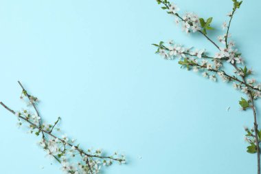 Kiraz çiçekli bahar arkaplanı.