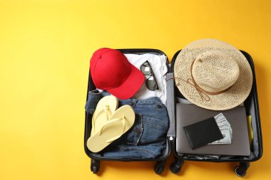 seyahat aksesuarları bavul ve pasaport renginde