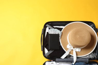 Yaz tatili konsepti. bavul ve pasaport renk arkaplan