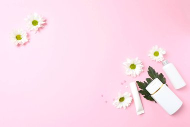 Beyaz arkaplanda beyaz çiçekler.