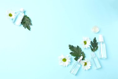 Renk arkaplanı üzerinde papatya ve nane yaprakları ile düz konum, metin için boşluk